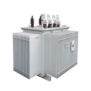 10 kV Oil-immersed Transformer-4